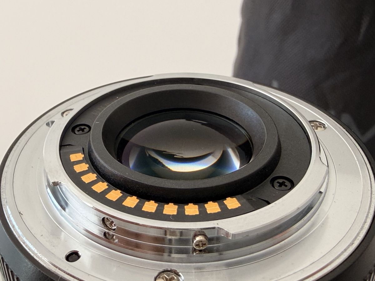 Panasonic Obiettivi: Panasonic Lumix 45-175mm – Usato da Flawil venduto da TruncateQuasar 5