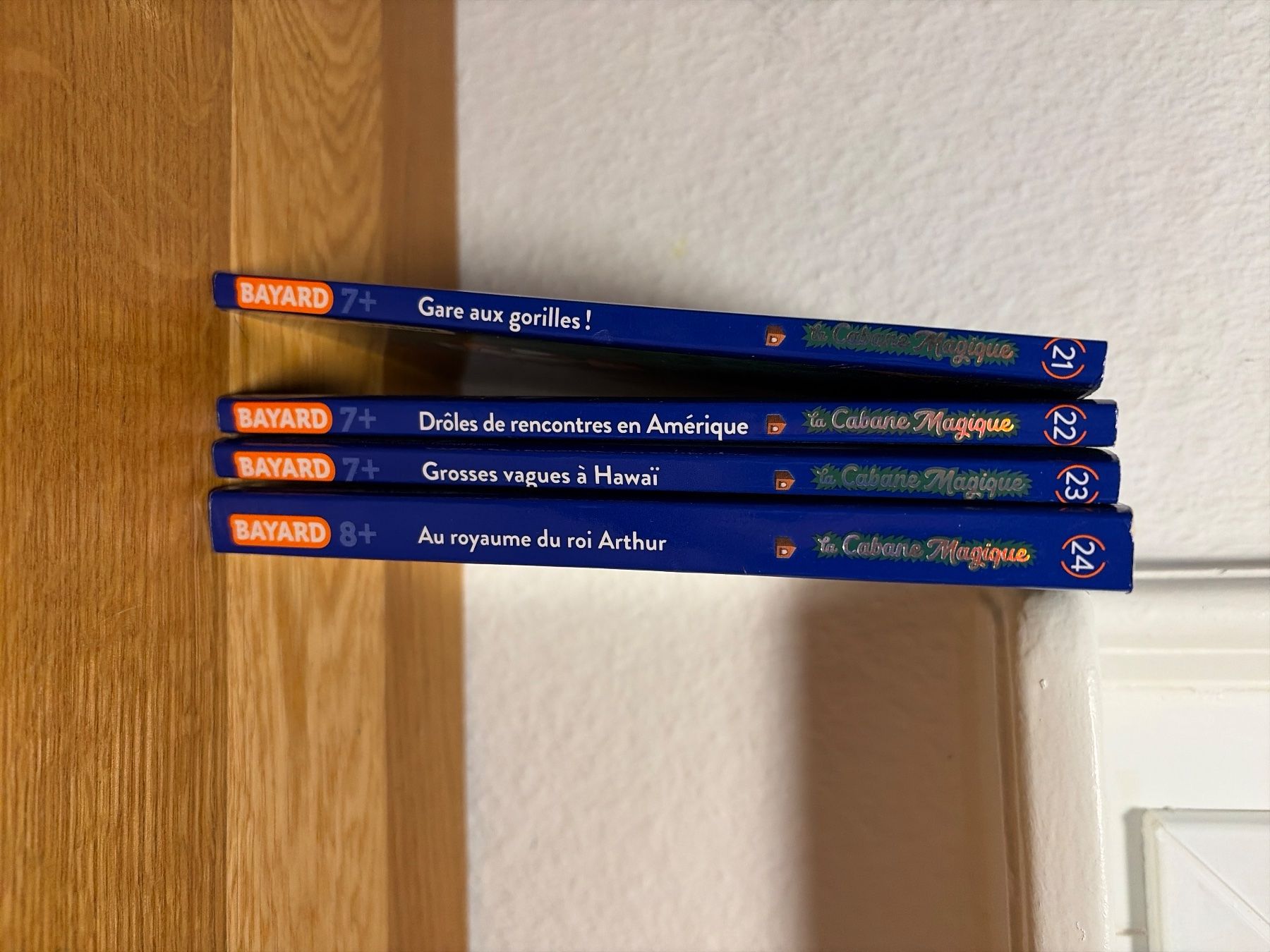 Bücher: Livre cabane magique 21 a 24 – Gebraucht aus Lausanne von aur_cxg5 2