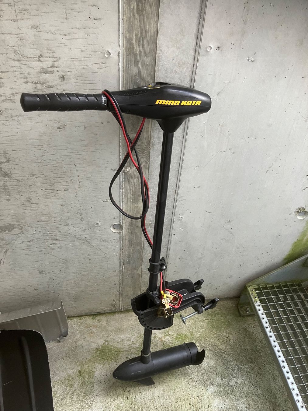 Minn Kota Motori: Minn Kota Endura C2  ibs. 45 – Usato da Eggiwil venduto da jou70