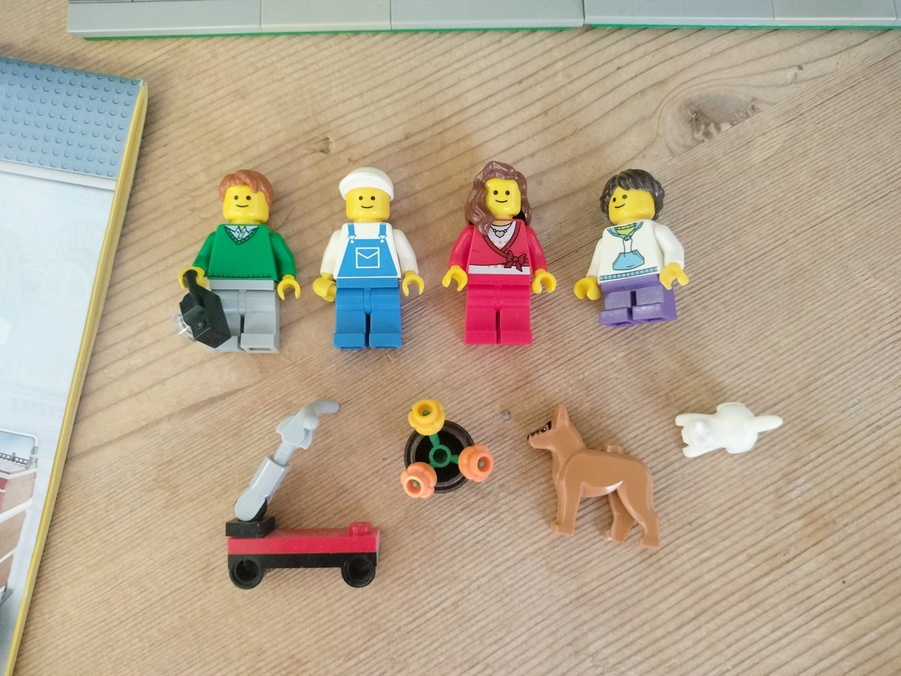 Lego Spielzeuge: Lego Creator Expert 10218 Pet Shop ab 1.- – Gebraucht aus Wil SG von RoyalBricks 2