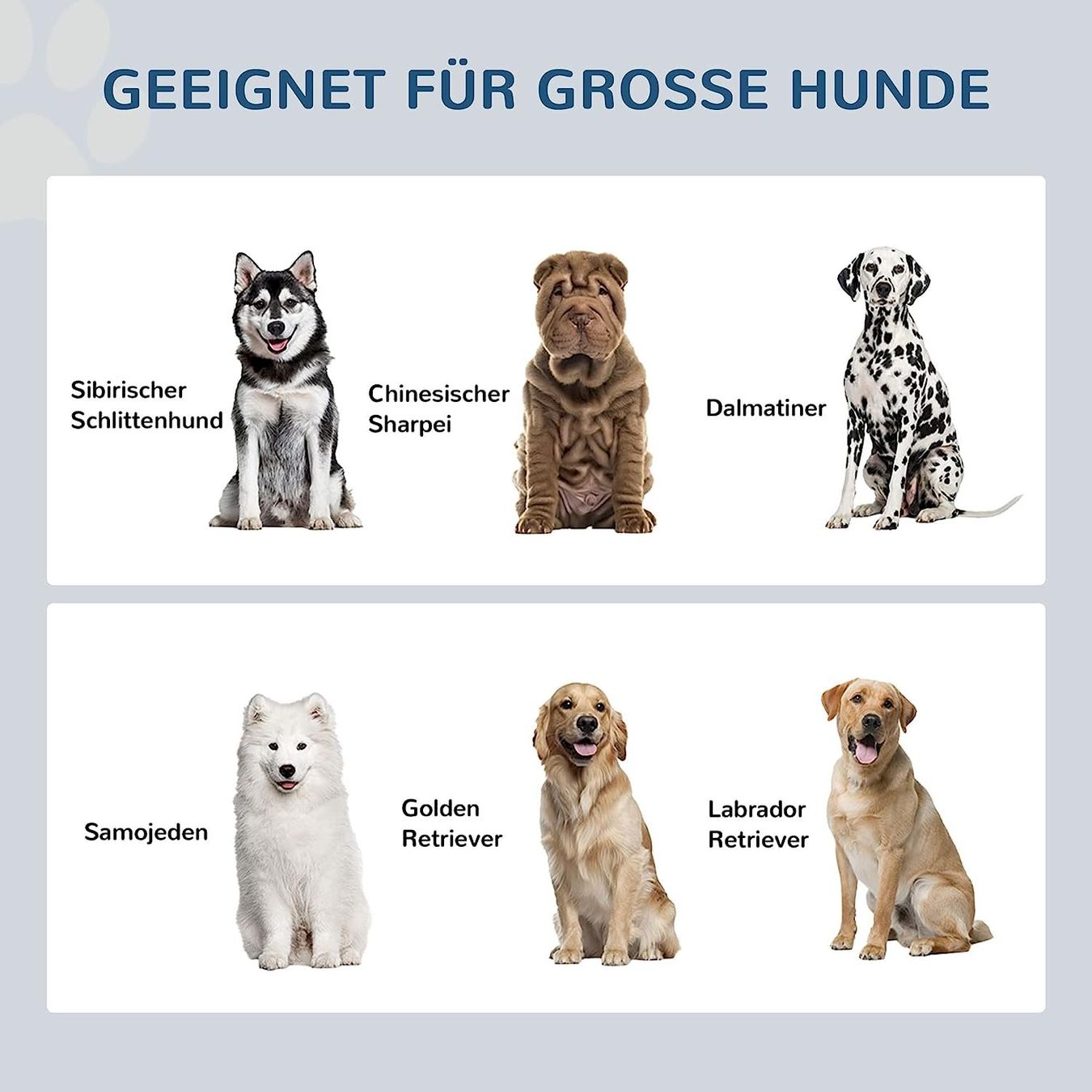 Futter: PawHut Futterstation – Neu und originalverpackt aus Bottighofen von zaap 3