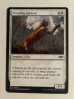 1 x Prowling Caracal - Magic: The Gathering - MtG