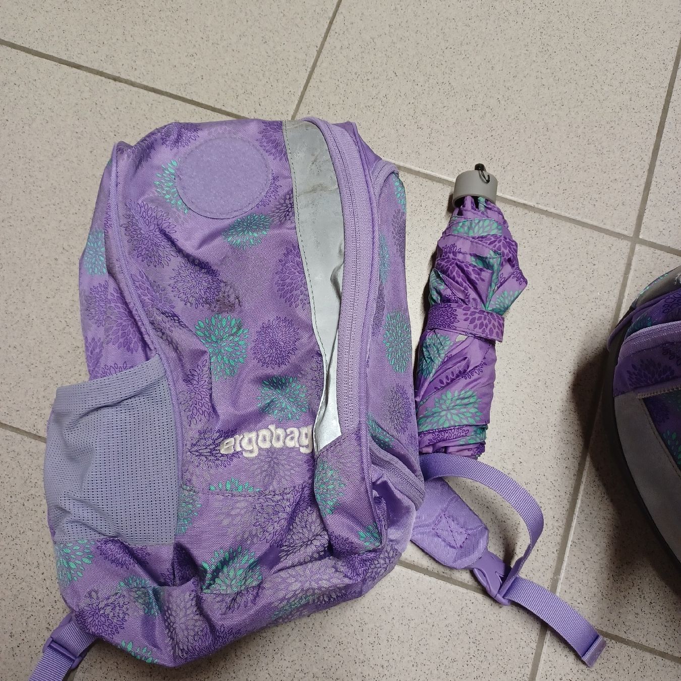 Ergobag Borse & Zaini: Ergobag Schulrucksack  – Usato da Boswil venduto da Joli2222 3