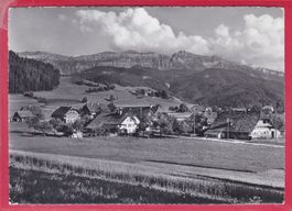 SCHWARZENEGG BEI THUN MIT SIGRISWILERGRAT, 25.7.1964