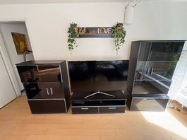 Tv Wand