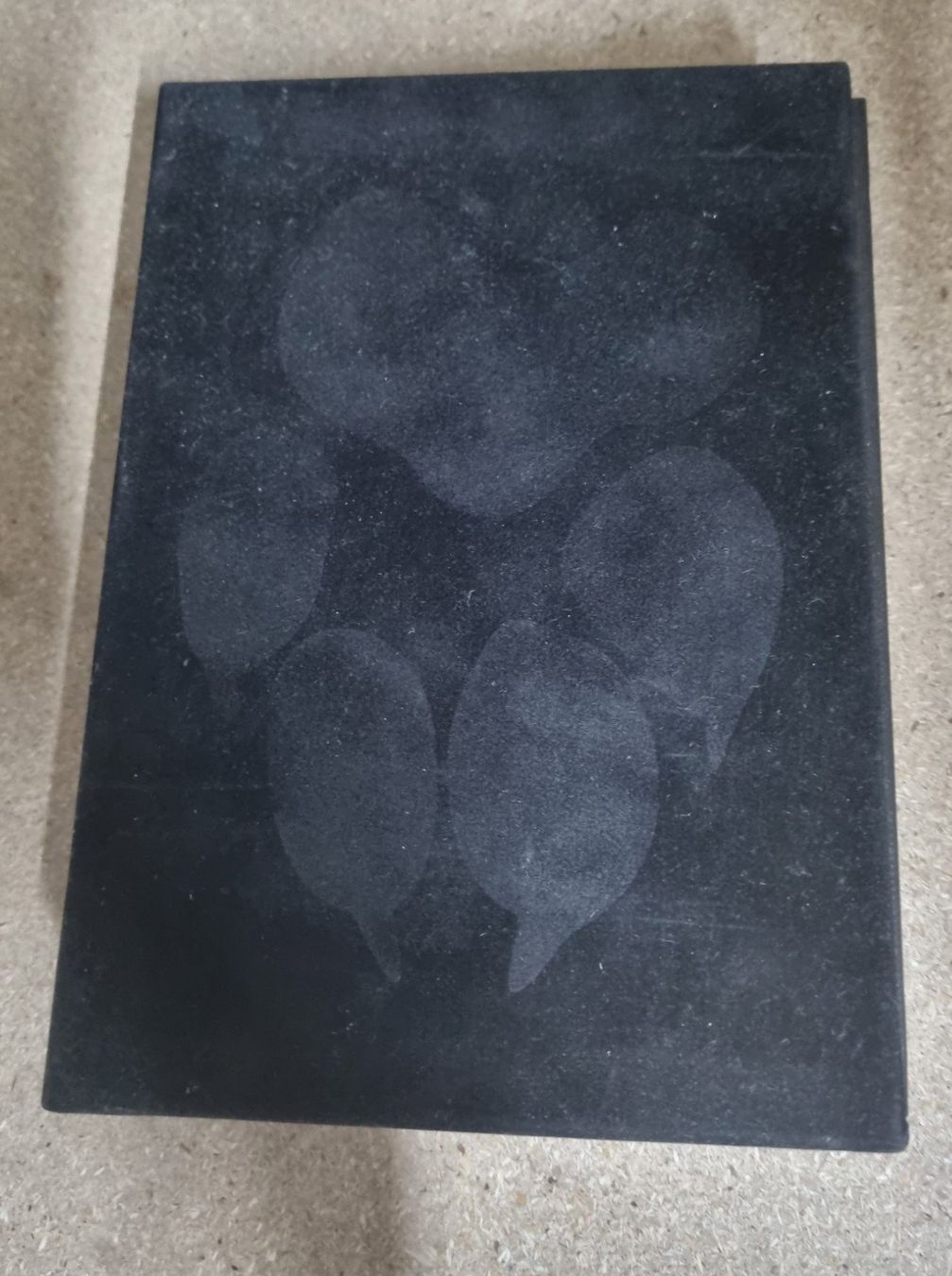 Libri: RASSEHUND Das Kompendium der Rassehunde – Nuovo (secondo la descrizione) da Unterengstringen venduto da Panther 3