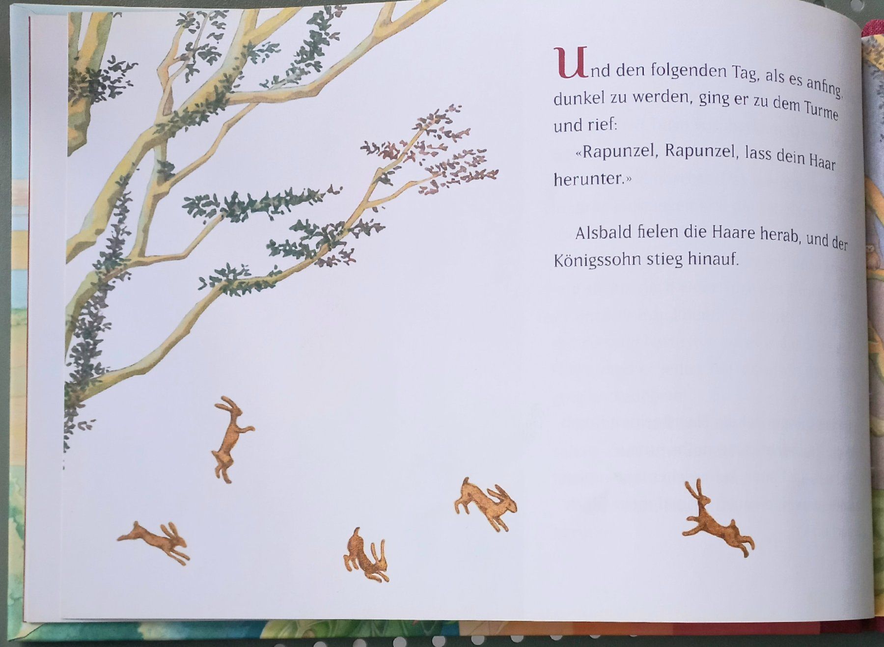 Libri: Buch - Rapunzel - Gebrüder Grimm – Usato da Niederuzwil venduto da lubimaja 4
