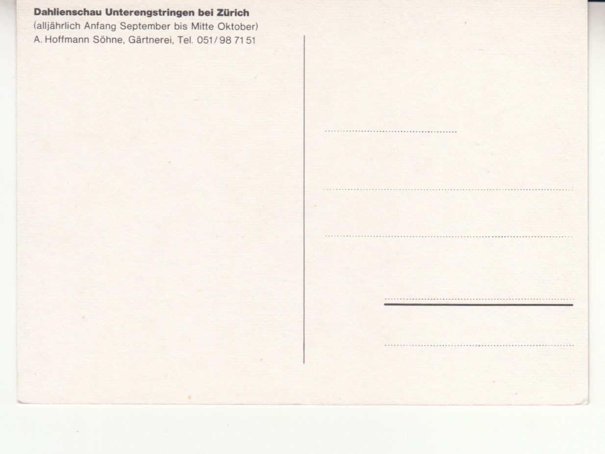Cartes postales: Unterengstringen ca. 1970 – D'occasion à Bürglen TG par StampGraf 1