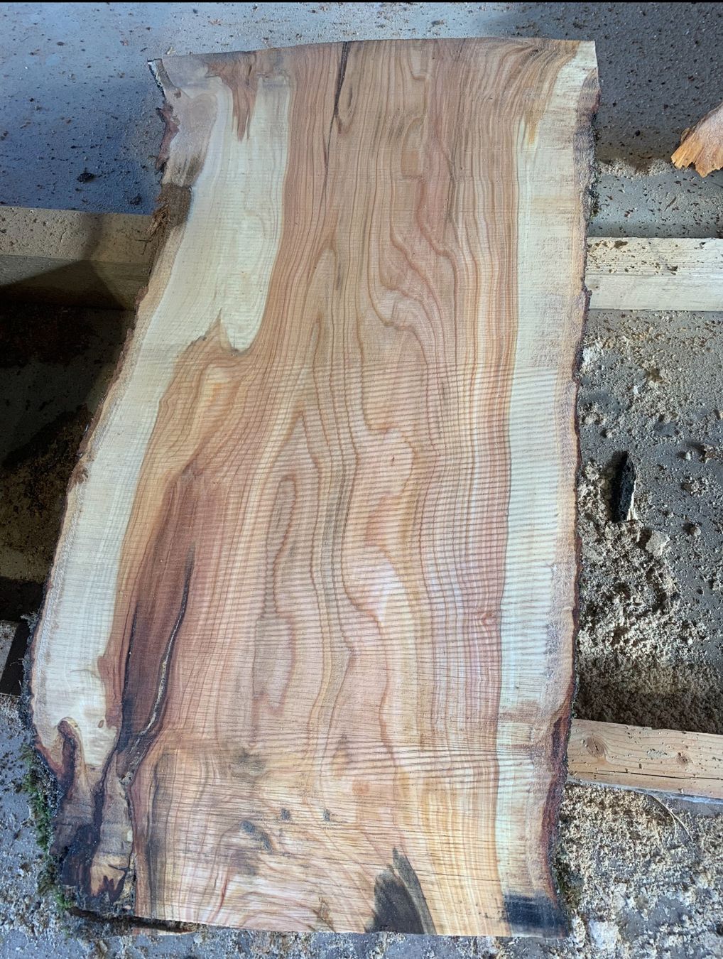Articoli in legno: Bretter Kirschbaum – Nuovo (secondo la descrizione) da Holziken venduto da Timbergrizzly