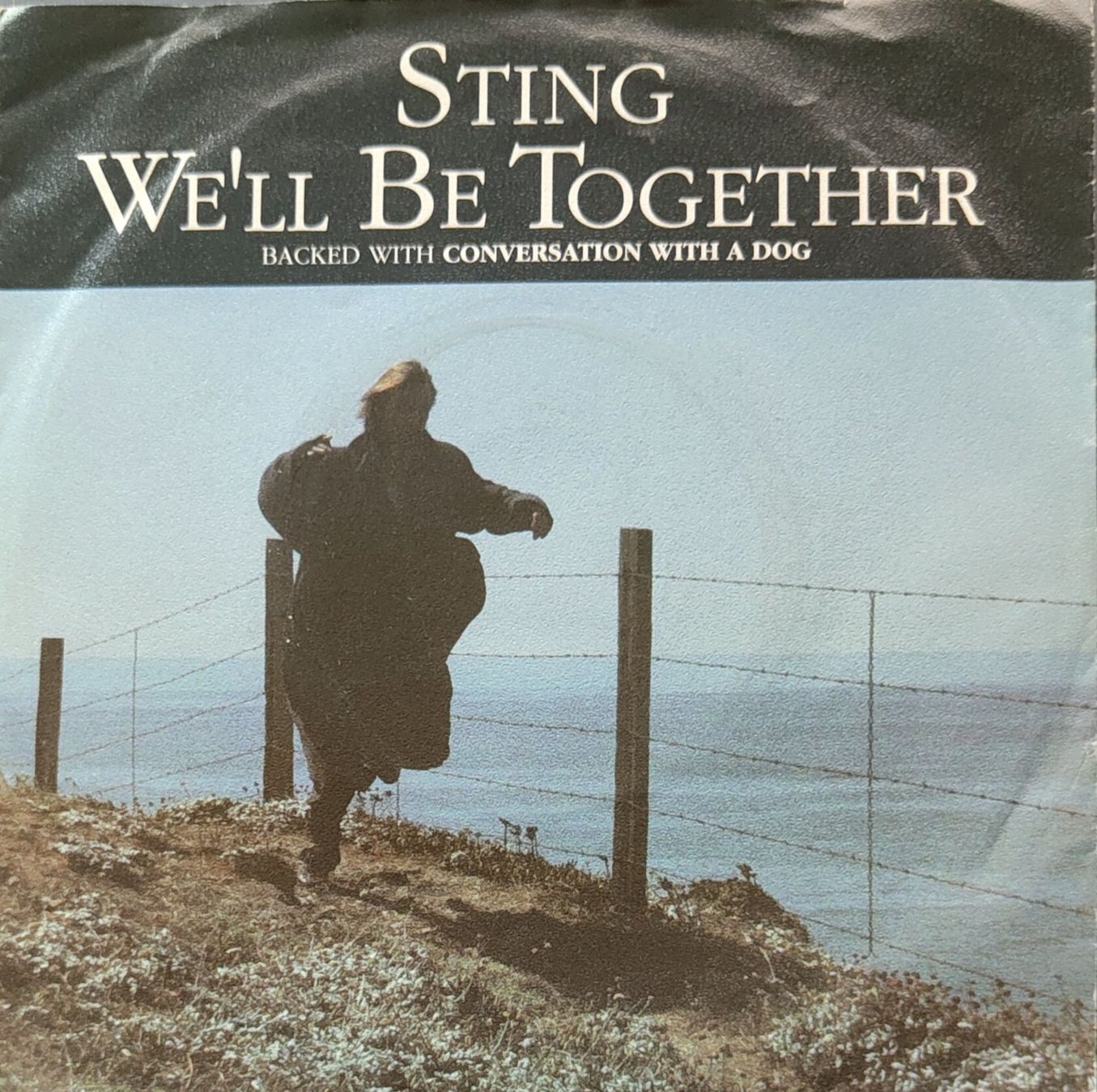 Dischi in vinile: Vinyl-Single Sting - We'll Be Together – Usato da Langenthal venduto da Modo39