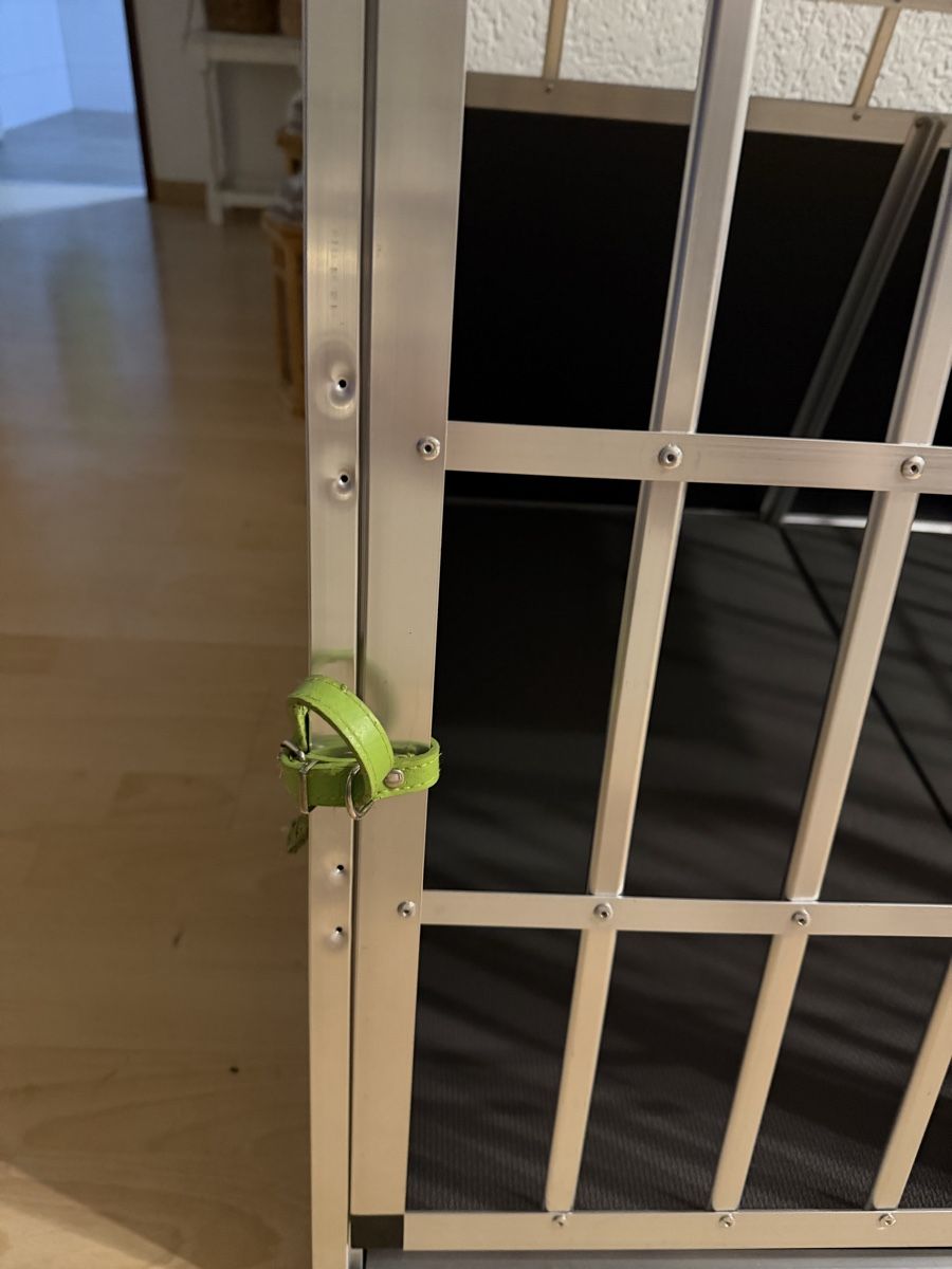 Gabbie, trasporto & Sicurezza: Hundebox für grosse Hunde – Usato da Olten venduto da reb_97z8 2