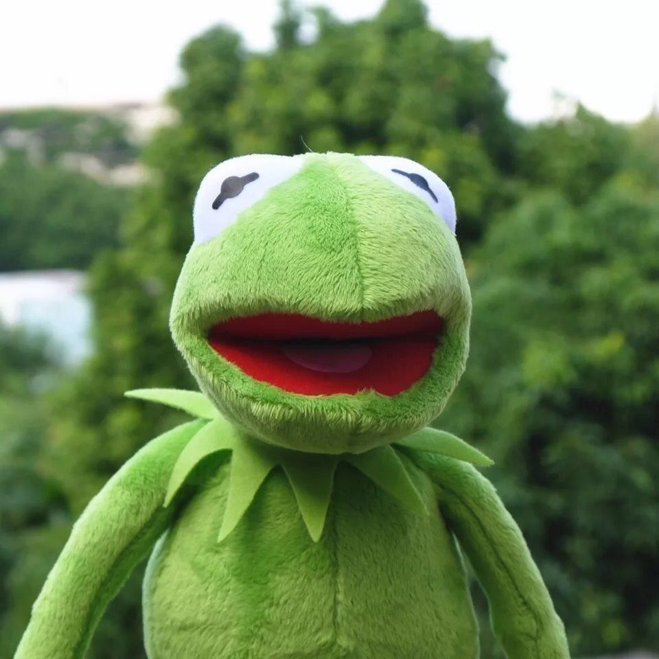 Spielzeuge: Kermit der Frosch von der Muppet Show 60 – Neu und originalverpackt aus Winterthur von dzGadgets 2