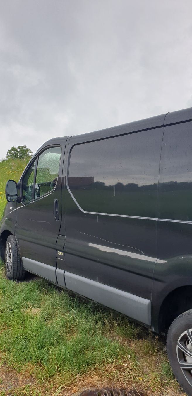 Renault Véhicules utilitaires: Renault Trafic mit MFK! – D'occasion à Sempach par Seepferdli40 2