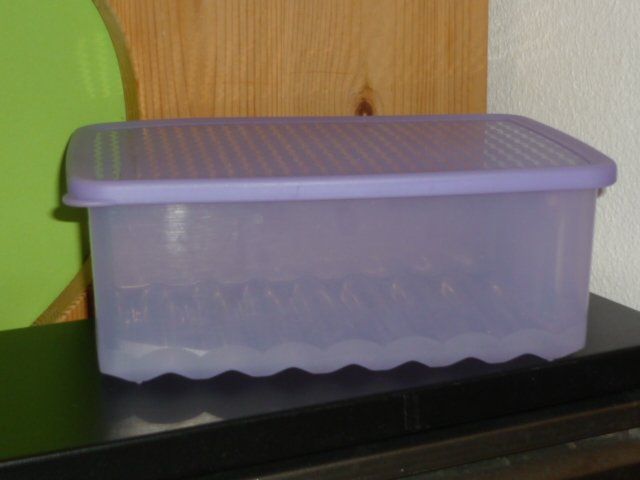 Tupperware Contenitori & Simili: TUPPERWARE 1,6 L. – Usato da St.Gallen venduto da Anso 3