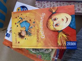 Kinderbuch Hannas Geheimnis von Judith Sixel gebunden