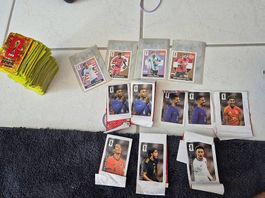 Panini 2026 Sticker günstig abzugeben