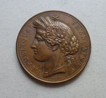 Bronze Medaille ++ EXPO Paris 1878