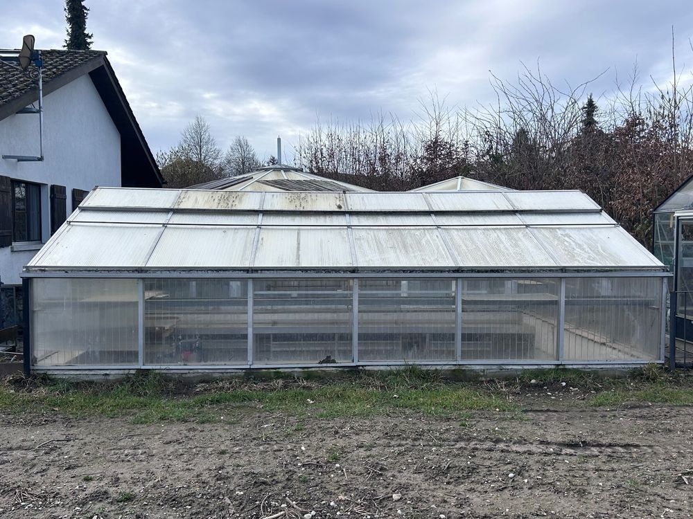 Casette da giardino & serre: Gewächshaus Treibhaus – Usato da Giswil venduto da 2059rudolf 2