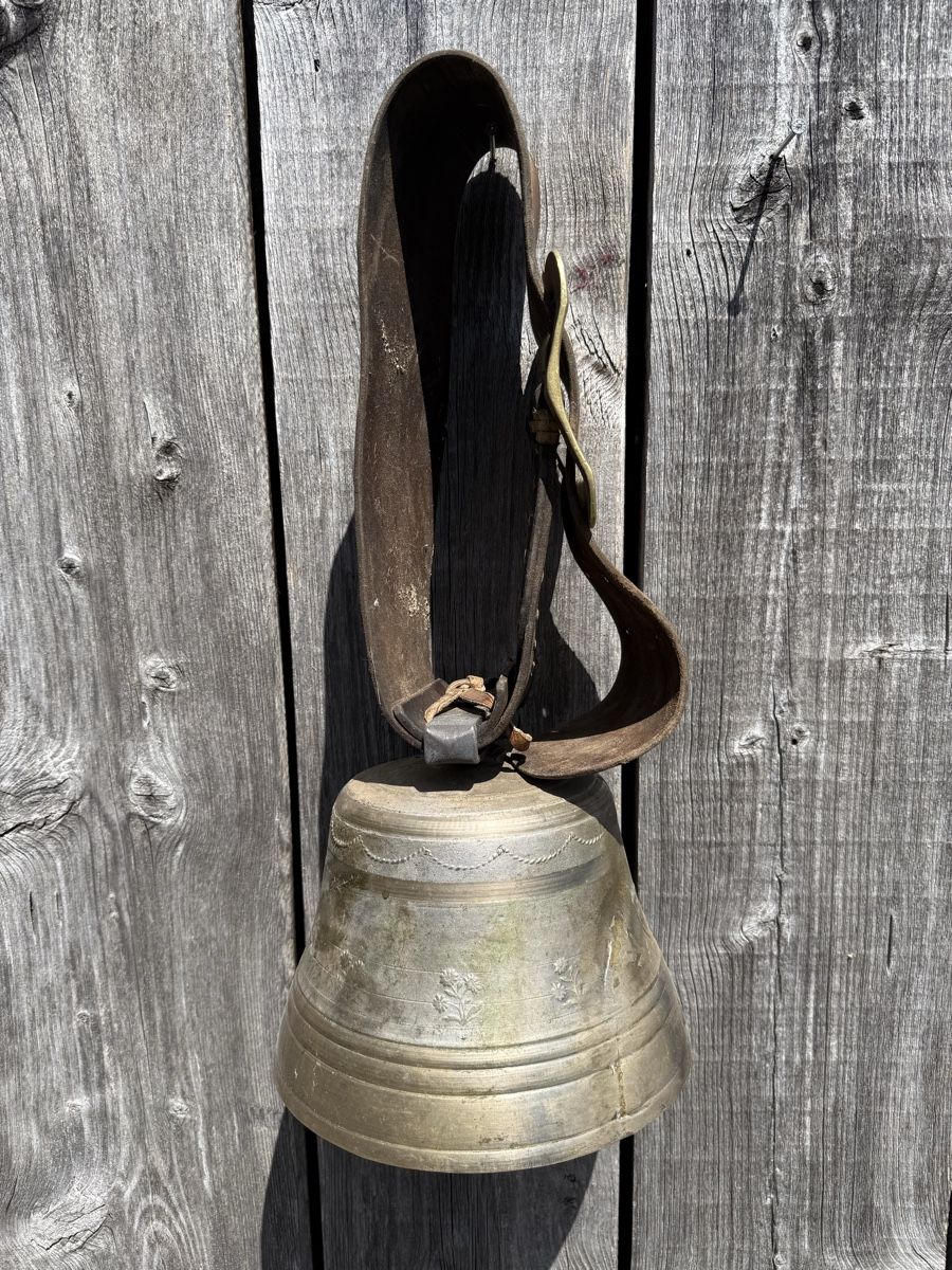 Campanacci mucche: Grosse Glocke mit breitem Riemen – Usato da Sargans venduto da foxtrading 3