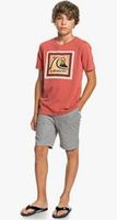 Short gris Quiksilver Garçon t. 16 ans   NEU!