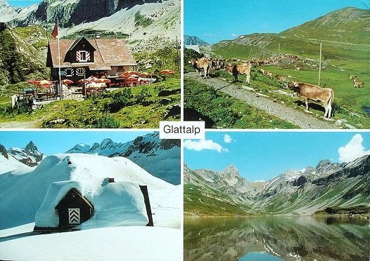 Cartoline postali: Muotathal GLATTALP Restaurant - Kühe – Usato da Jona venduto da philajona
