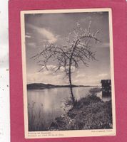 Frühling am Zugersee 1931