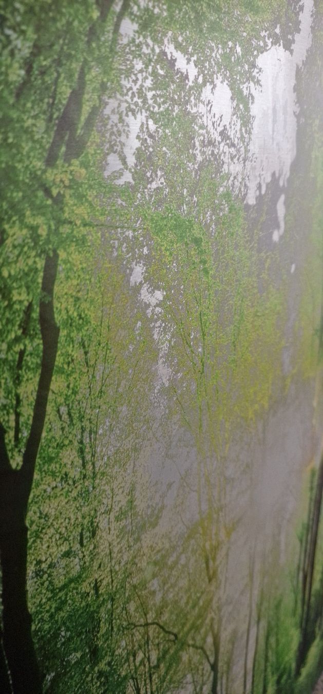 Poster & Bilder: Wald-Natur-Bild Aluprint, 200x98cm – Neu (gemäss Beschreibung) aus Root von AtschyFragrance 2