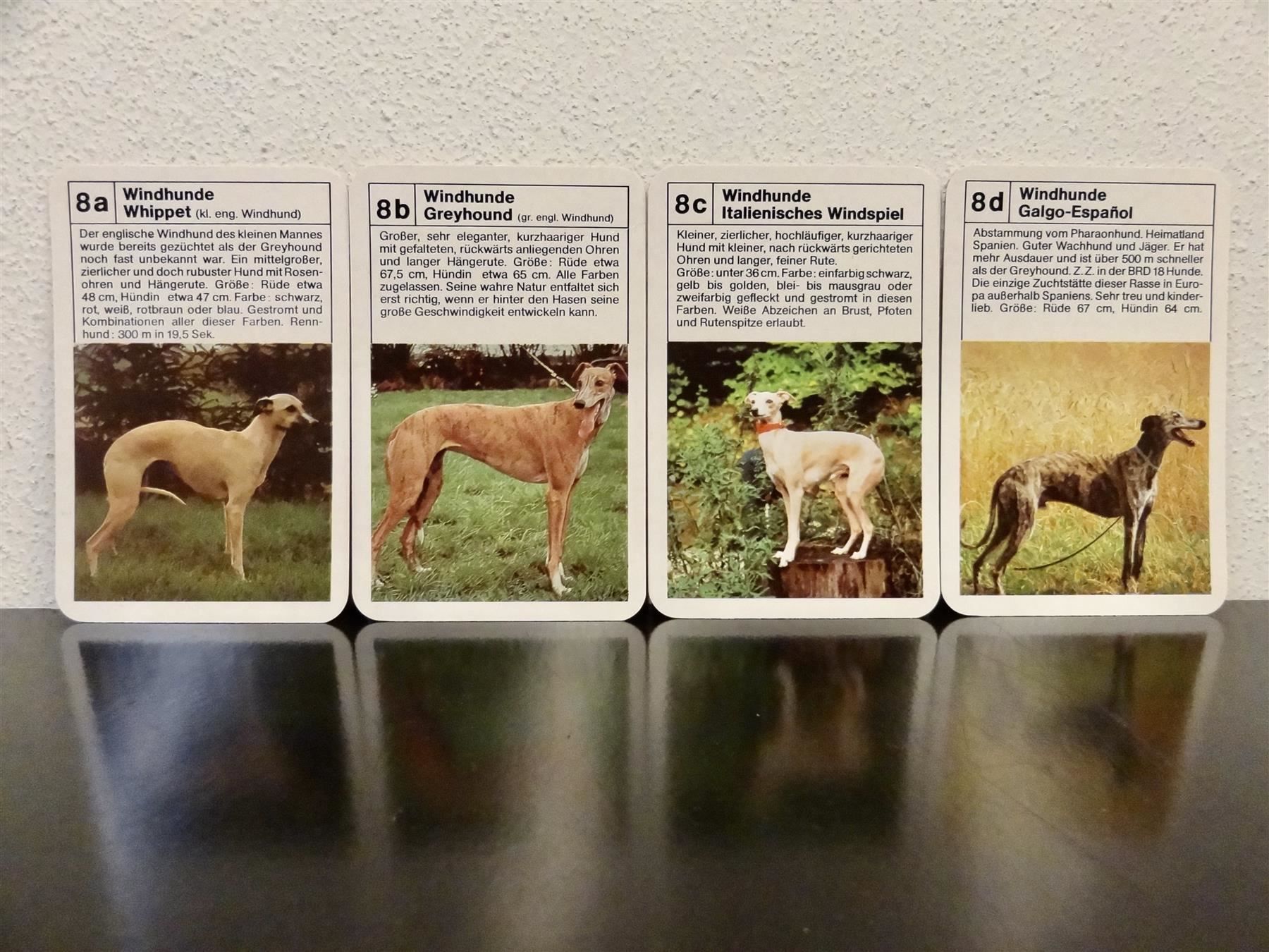 Spiele: altes Quartett TIER-QUARTETT HUNDE HUND – Gebraucht aus Kerzers von wisaundso 9
