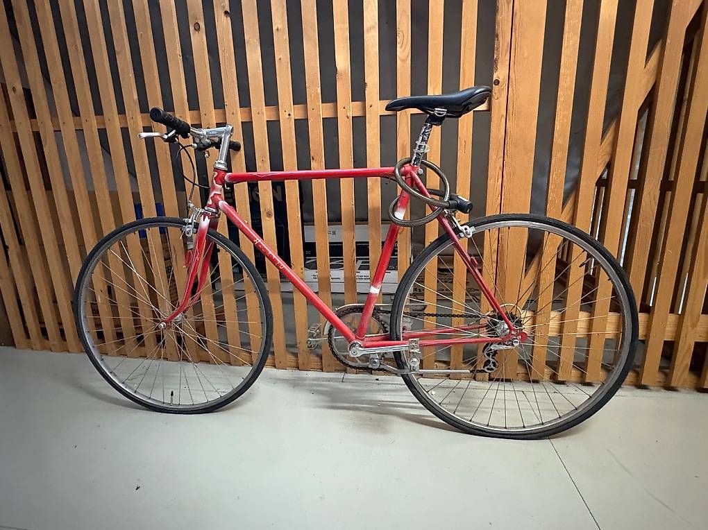 Biciclette: Fahrrad – Usato da Zürich venduto da jan_p2yf