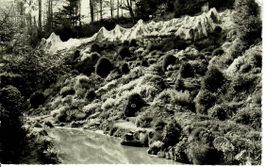 Alpine Gärtnerei Graben - Niederscherli