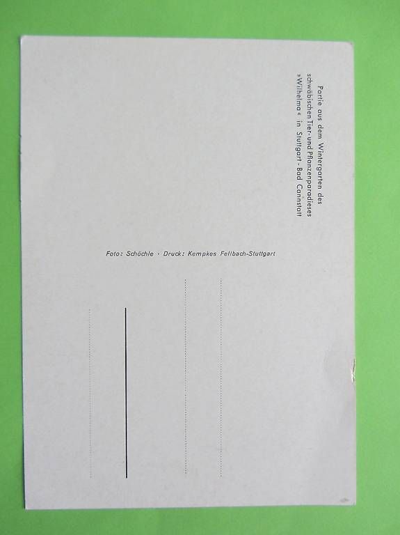 Cartoline postali: 2 Ansichtskarten Tiergarten Wilhelma Stuttgart – Usato da Malters venduto da moc_z8d9 4