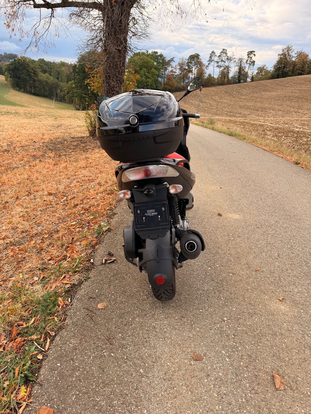 Aprilia Scooters: Aprillia SR Max 300 Top Preis – D'occasion à lampenberg par Shortino 6