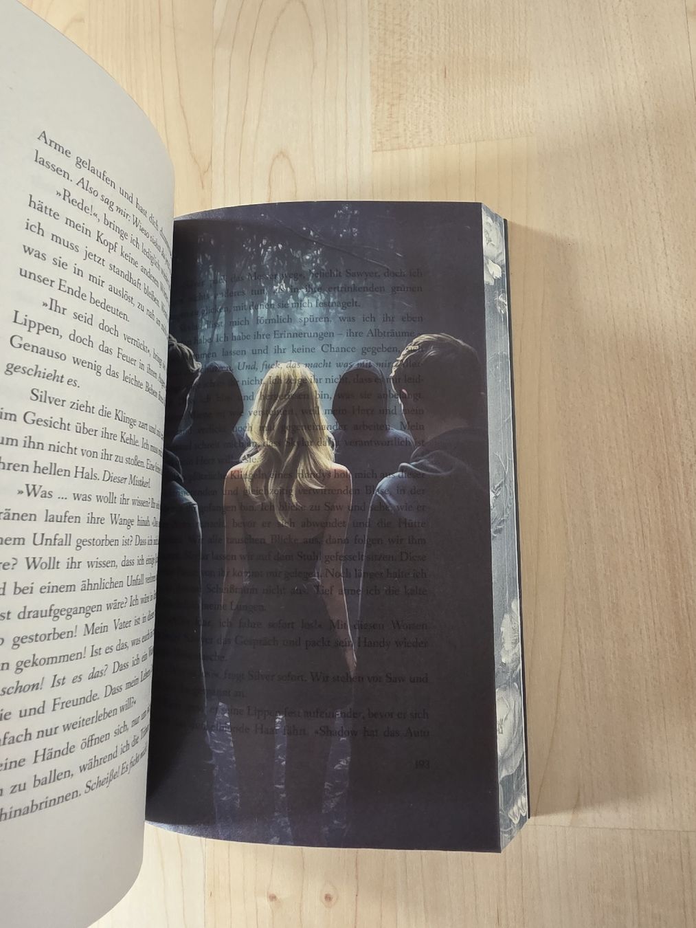 Livres: Dark Romance Buch mit Farbschnitt – Neuf (Voir description) à Nesselnbach par sab_c5nf 2