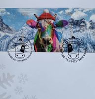 CHLI 2.0 Rainbow cancelled suisse 