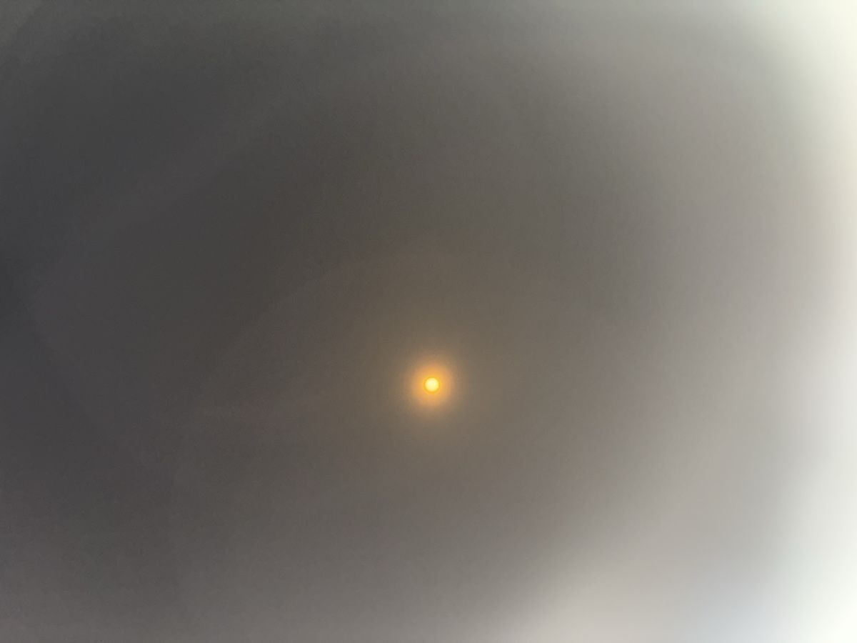 Occhiali & Lenti: Lunettes pour éclipse solaire neuves en papier – Nuovo (secondo la descrizione) da Vevey venduto da Jaycewitwicky 5