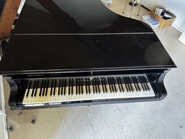 Steinway & Sons Flügel - Modell B-211