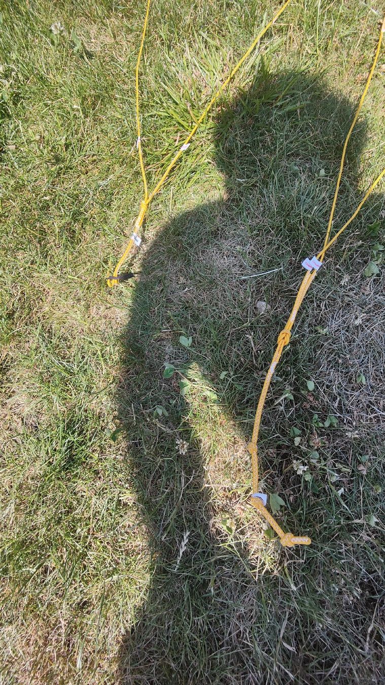 Kite: Cabrinha X Bow 12m2 mit bar – Gebraucht aus Liestal von Maski11 3