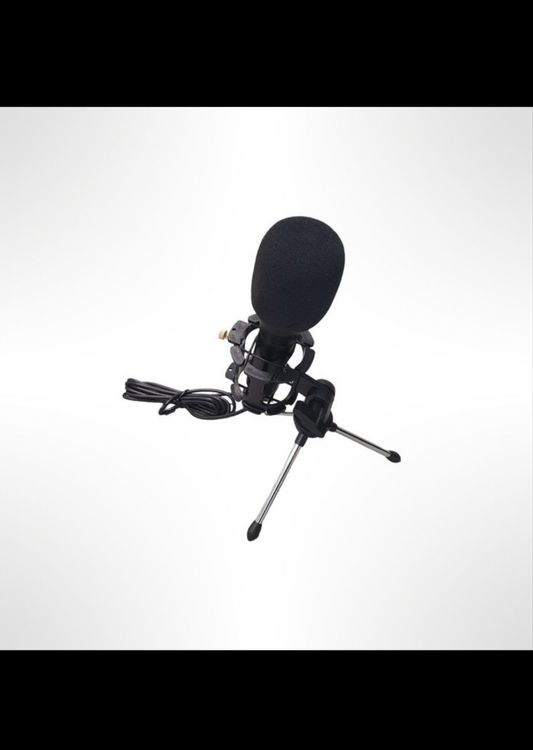 FTM Streaming Kit (Greenwall, Mikrofon, Tripod) (Neu und ...