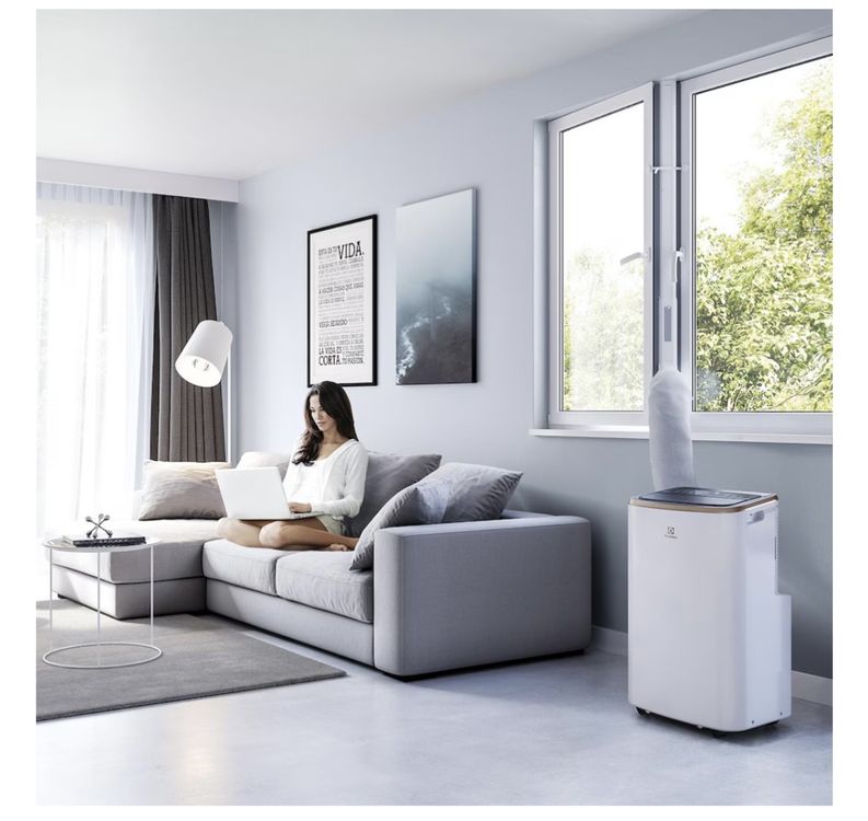 Electrolux Klimageräte: Mobile Klimaanlage Electrolux Chill Flex Pro Gold – Gebraucht aus Zürich von Daweeckedplayer 6