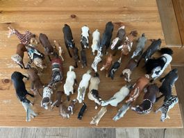 Schleich Tiere Pferde