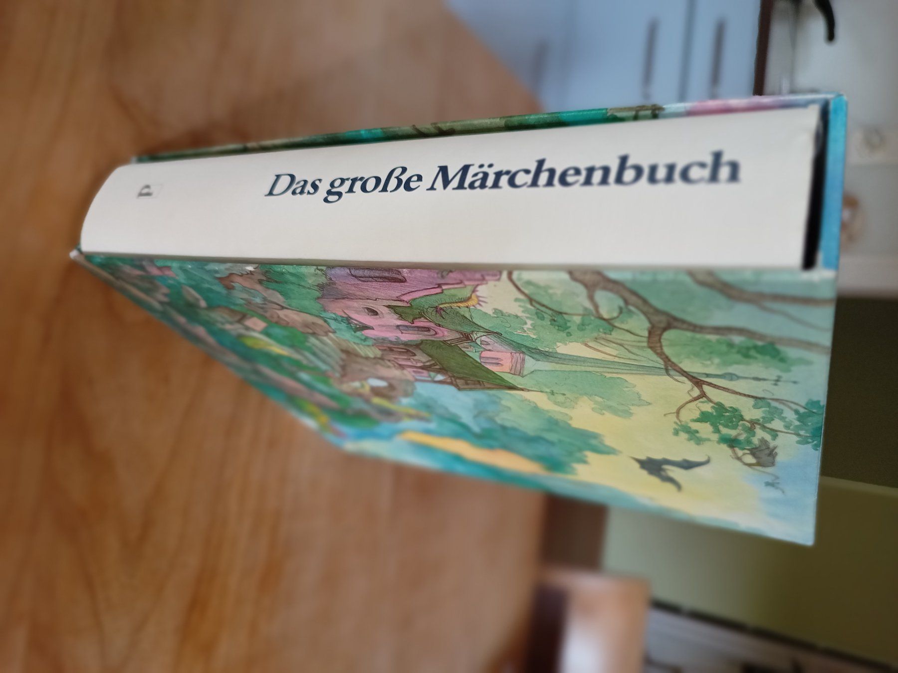 Libri: 100 Märchen aus Europa – Usato da St. Gallen venduto da walterk06 1