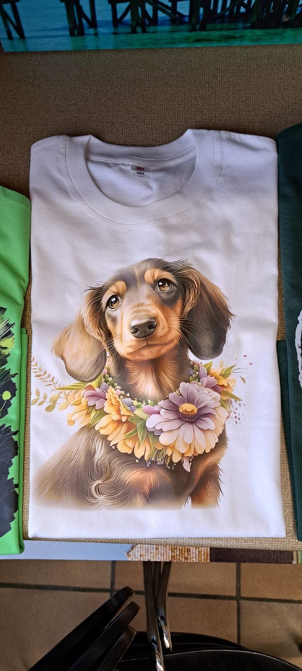 T-shirt: T-Shirts – Nuovo e nell'imballaggio originale da Rothenthurm venduto da dudli84 6