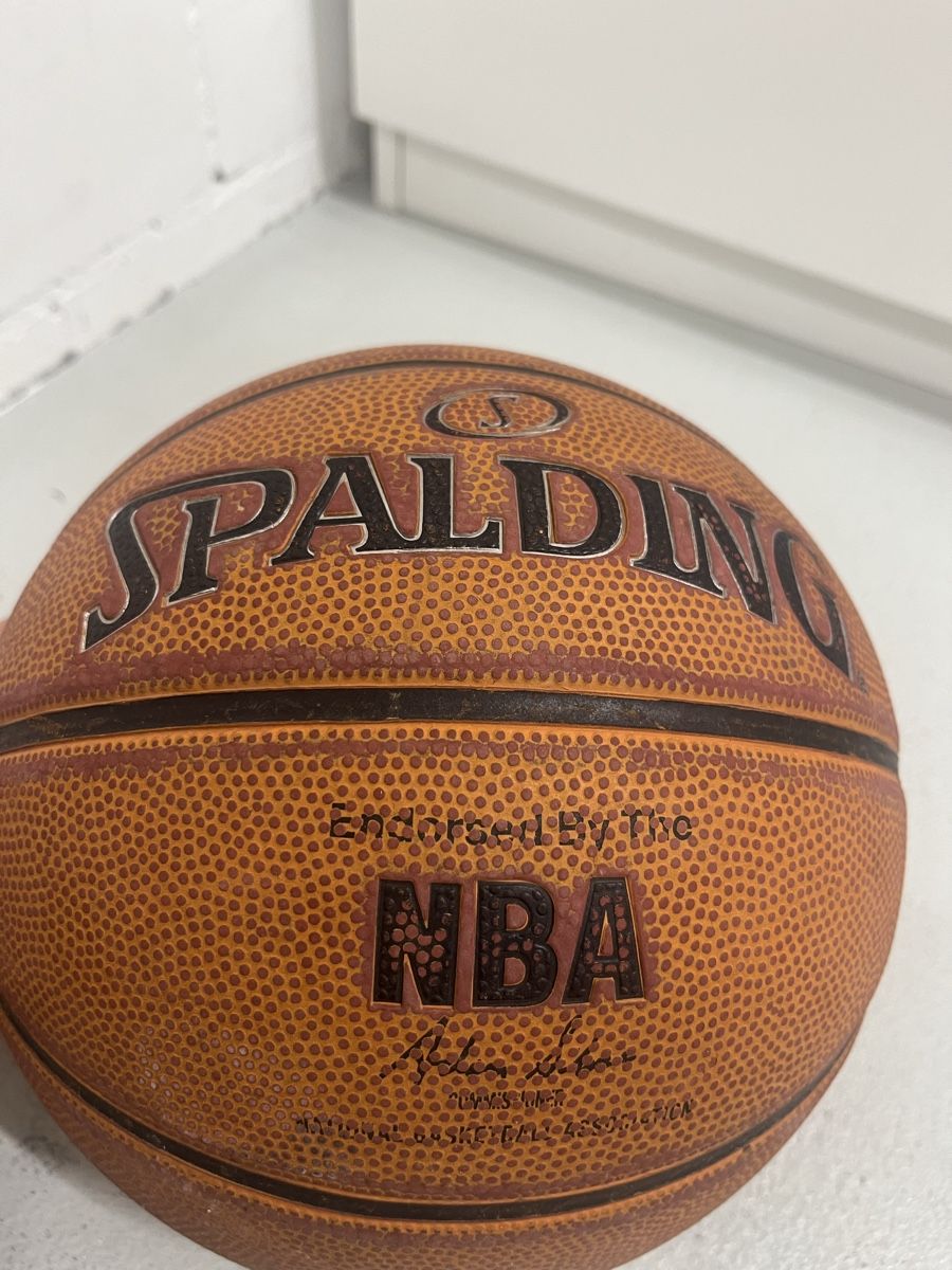 Spalding Palloni: Spalding NBA Platinum Basketball – Usato da Würenlos venduto da jam_mv8g 7