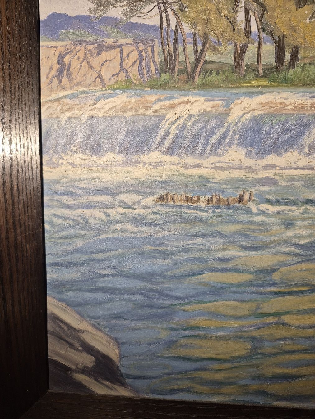 Dipinti: Gemälde von Hans Arnold Daepp "Thurrain" von 1913 – Usato da Schaffhausen venduto da Caroline_Stein 3