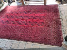 Teppich Afghan
