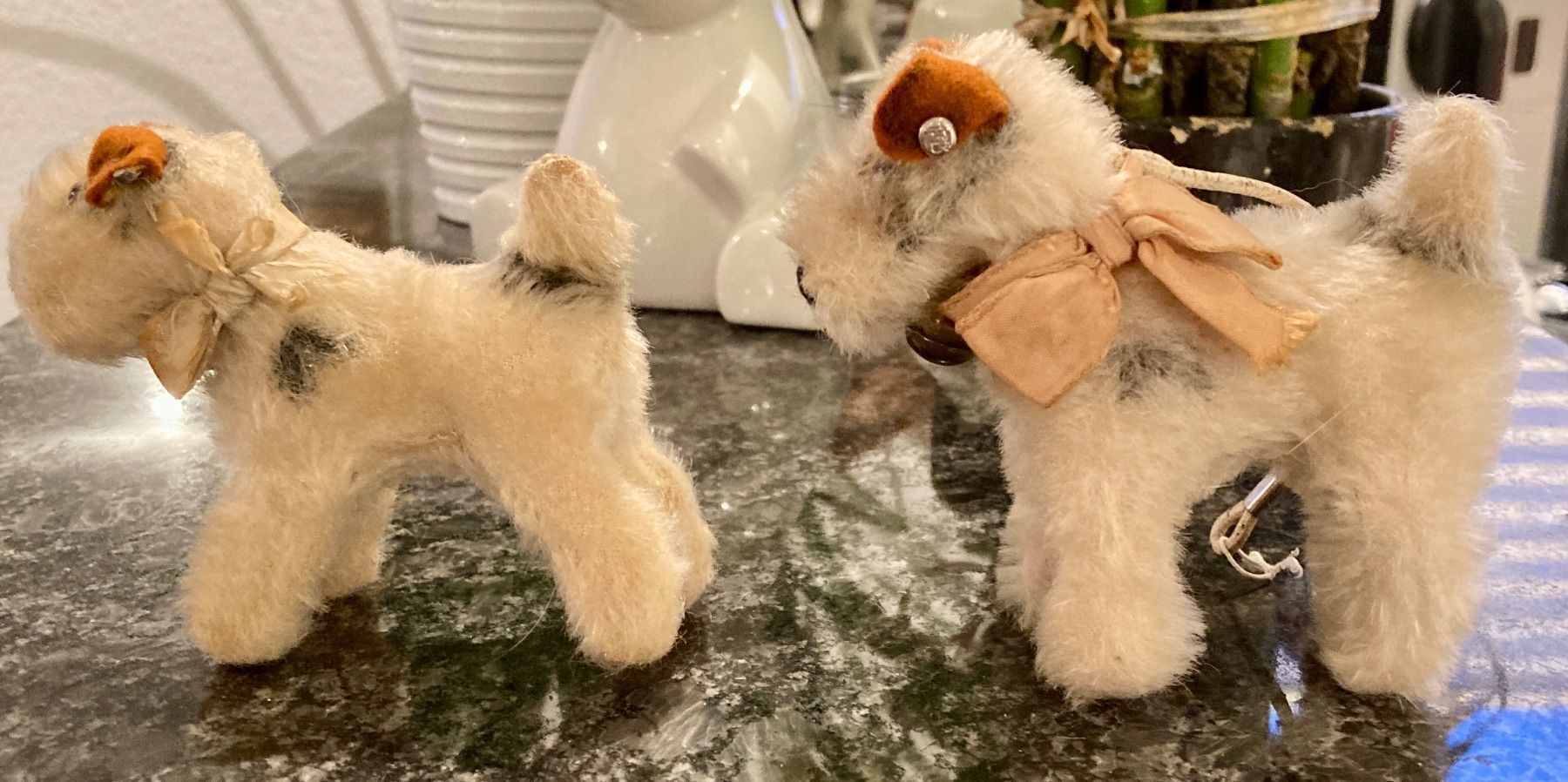 Steiff Giocattoli: 2 Foxterrier mit Glöcklein - antik Steiff – Usato da Rütihof venduto da Kelani 3