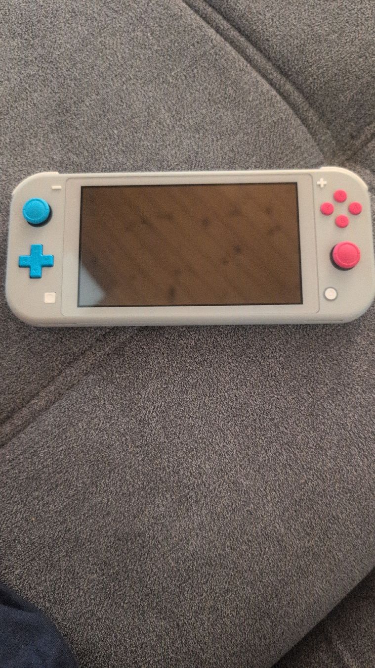 Nintendo Console: Nintendo Switch Lite Zacian & Zamazenta Edition – Nuovo (secondo la descrizione) da St.gallen venduto da yan_lrg5 1