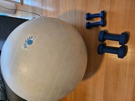 Ballon de gym Fit-Ball  + haltères, lot idéal fitness!