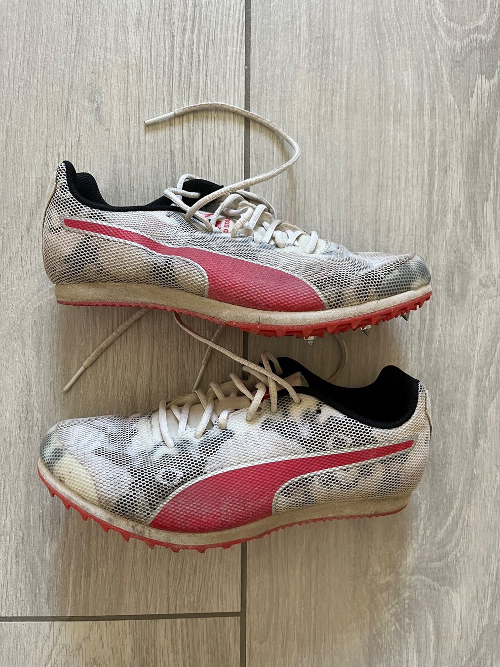 Puma Scarpe da uomo: Gr. 35 Spikes Leichtathletik Pointes PUMA EVOSPEED STAR 8 – Usato da Bettens venduto da rarouby26 3