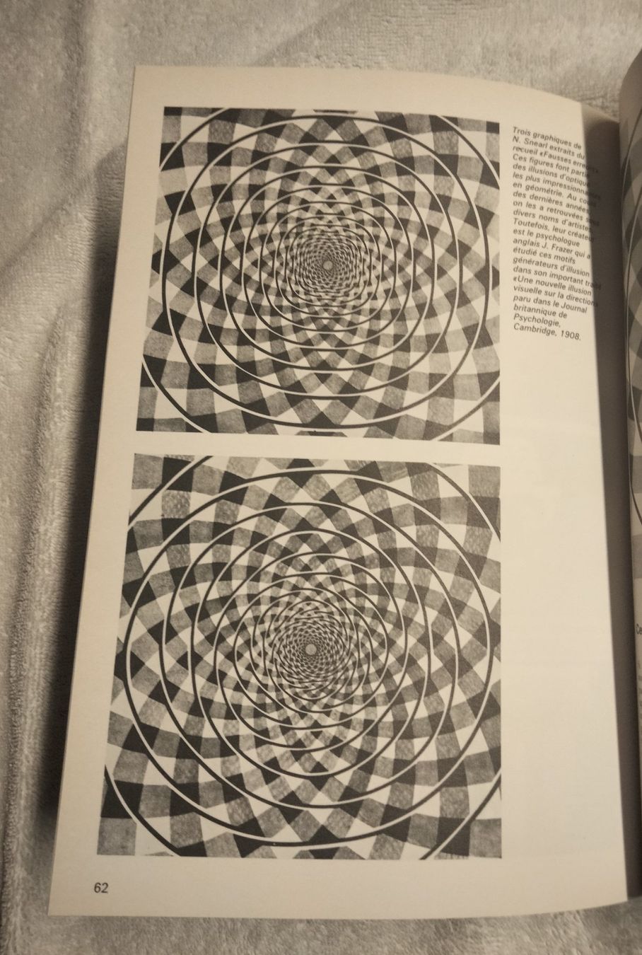 Libri: EDI LANNERS  LE  LIVRE DES ILLUSIONS – Nuovo (secondo la descrizione) da Niederglatt ZH venduto da Siegfried67 4
